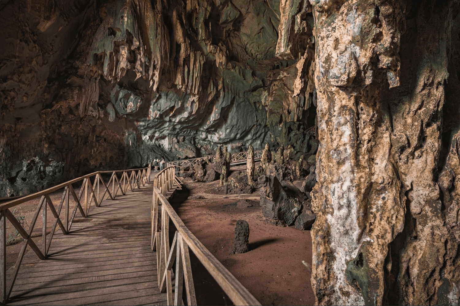 Cueva de las Lechuzas